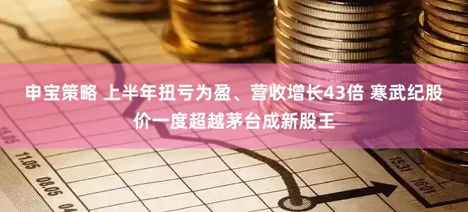 申宝策略 上半年扭亏为盈、营收增长43倍 寒武纪股价一度超越茅台成新股王